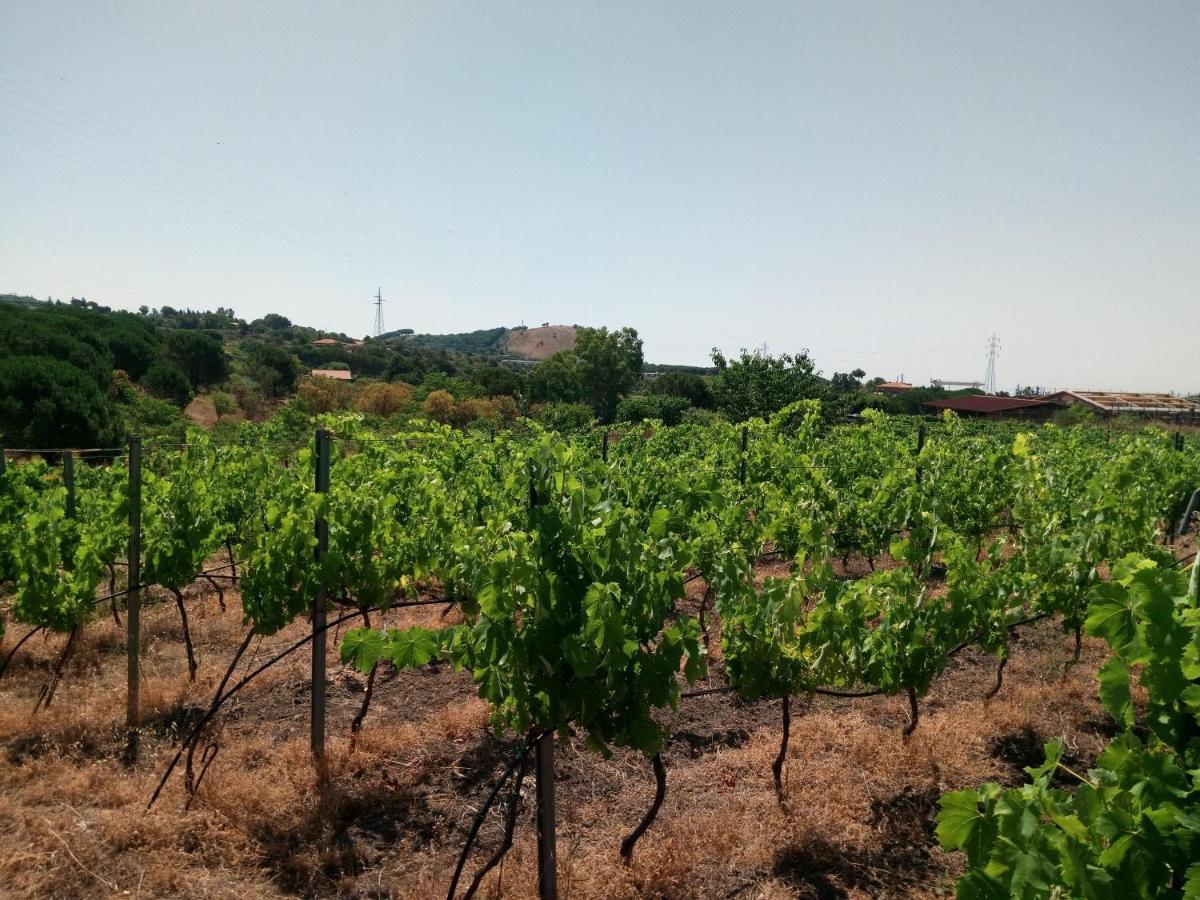 Etnasentieri Wine House On Etna Mount Villa Belpasso Exterior foto