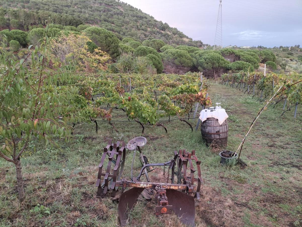 Etnasentieri Wine House On Etna Mount Villa Belpasso Exterior foto
